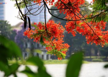 Tạm biệt mái trường, nghỉ hè thôi!