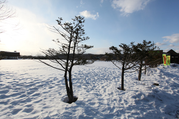 Tận hưởng mùa đông xứ tuyết Hokkaido-19