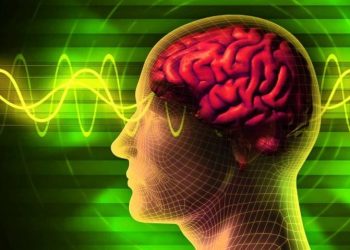 Sử dụng internet có thể cải thiện chức năng nhận thức của não 3