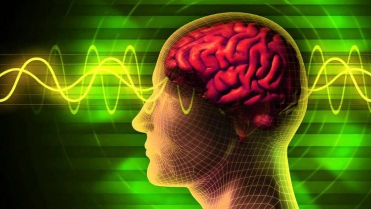 Sử dụng internet có thể cải thiện chức năng nhận thức của não 3