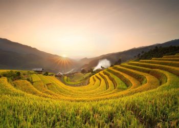 Việt Nam hấp dẫn du khách Anh