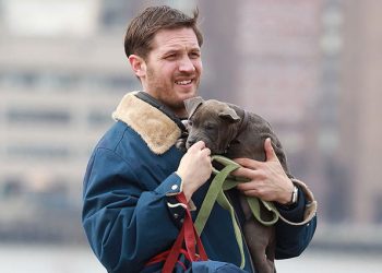 Tom Hardy tham gia phim Animal Rescue