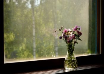 Một người phụ nữ ngồi trầm tư bên cửa sổ, ánh sáng chiếu nhẹ lên khuôn mặt – biểu tượng của nỗi lo lắng xen lẫn hy vọng.