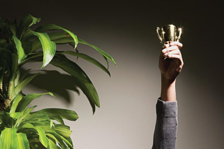 Động viên nhân viên đúng lúc