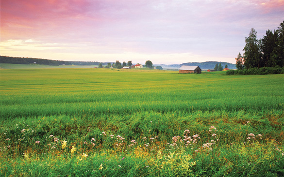 Phần Lan, vẻ đẹp dịu dàng Bắc Âu - 2