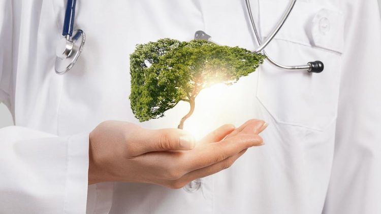Không nên lo lắng khi kết quả siêu âm là gan nhiễm mỡ 3