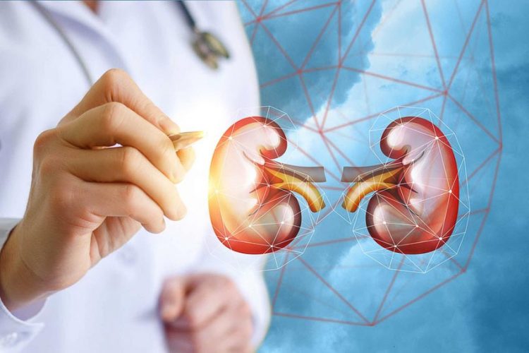 Suy thận nguy hiểm hơn chúng ta tưởng 2