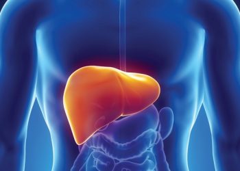 Báo động về tỷ lệ gan nhiễm mỡ tăng nhanh 2