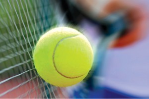 DN570-tinqv 130814-Davis Cup 1