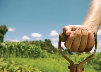 Chuyện nhà tôi: Nhà vườn… chết giấc