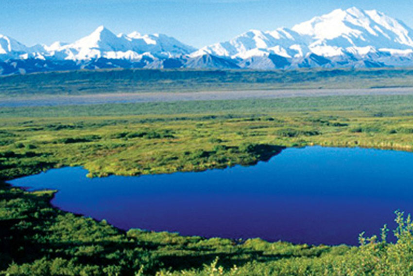 Trong rá»«ng tháº³m Alaska