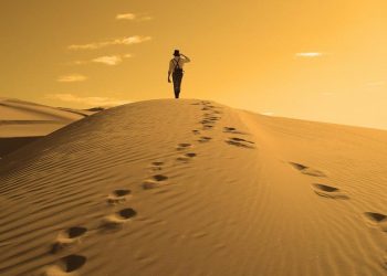 Cho đi và nhận lại -1