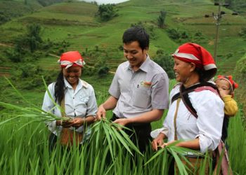 Lộc Trời mua 30% vốn điều lệ của Nông dược TSC