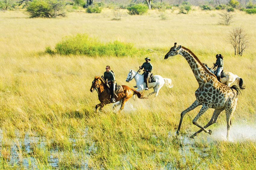 trai-nghiem-thien-nhien-hoang-da-o-Okavango