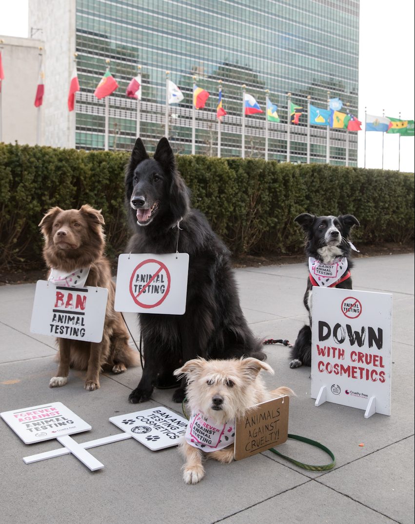 Cuộc biểu tình động vật đầu tiên trước trụ sở Liên Hiệp Quốc phản đối việc thử nghiệm mỹ phẩm trên động vật