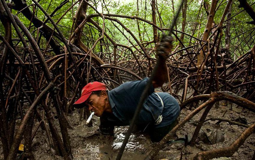 22 bức ảnh cho thấy rừng Amazon đang bị tàn phá nghiêm trọng bởi con người
