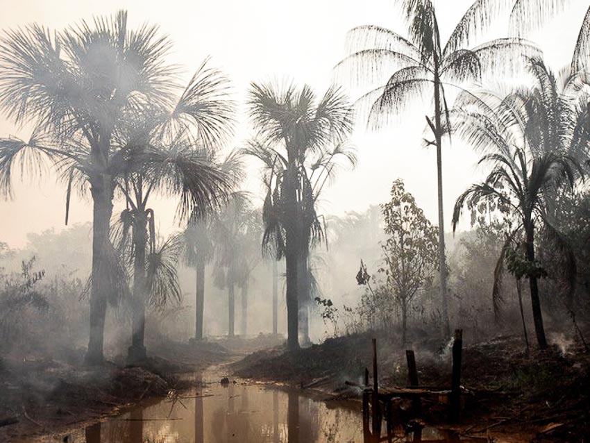 22 bức ảnh cho thấy rừng Amazon đang bị tàn phá nghiêm trọng bởi con người