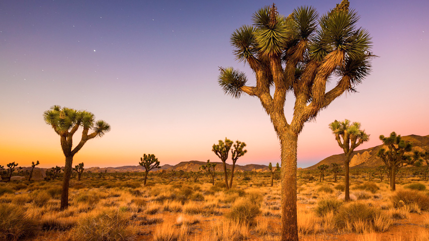 8 sa mạc đẹp như tranh vẽ trên thế giới 