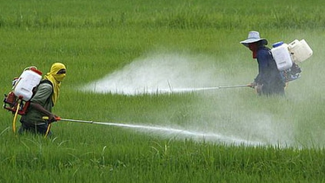 Ngân hàng Thế giới cảnh báo ô nhiễm trong nông nghiệp ở Việt Nam