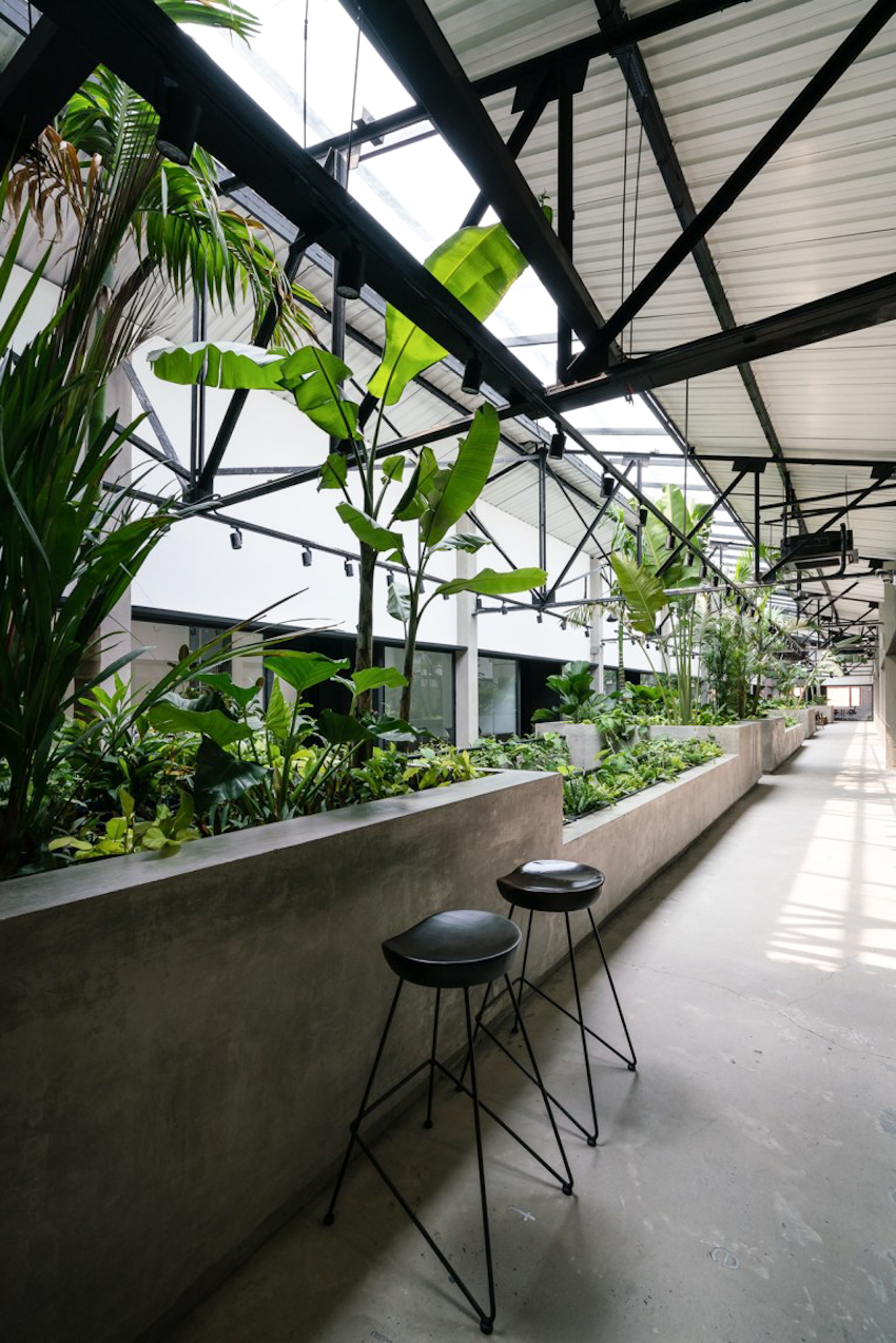 Jungle Station - không gian làm việc xanh mát giữa lòng thành phố