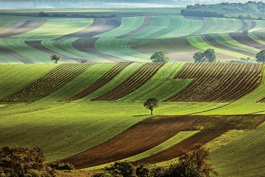 Moravia, bức tranh đồng quê thanh bình của Czech