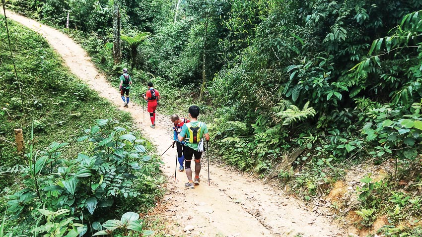 Vietnam Jungle Marathon 2018: Dành cho người chạy thích chinh phục rừng xanh