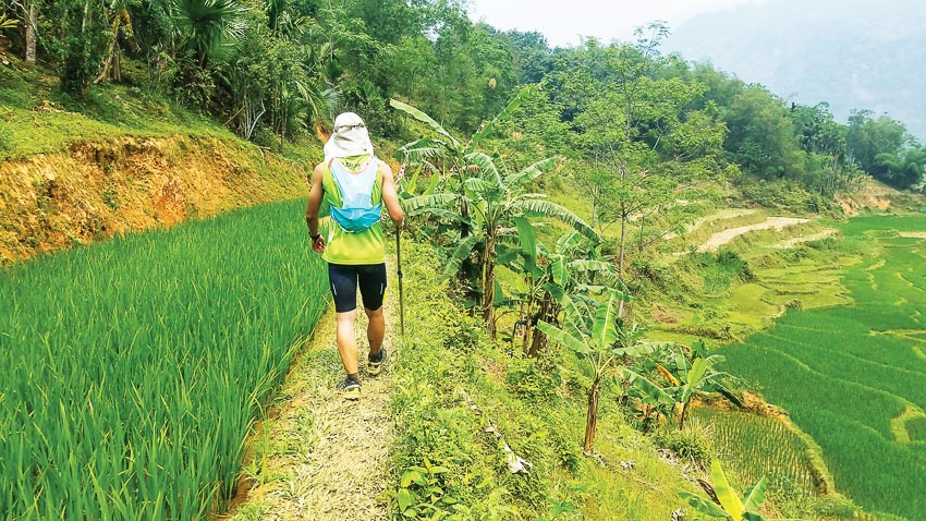 Vietnam Jungle Marathon 2018: Dành cho người chạy thích chinh phục rừng xanh
