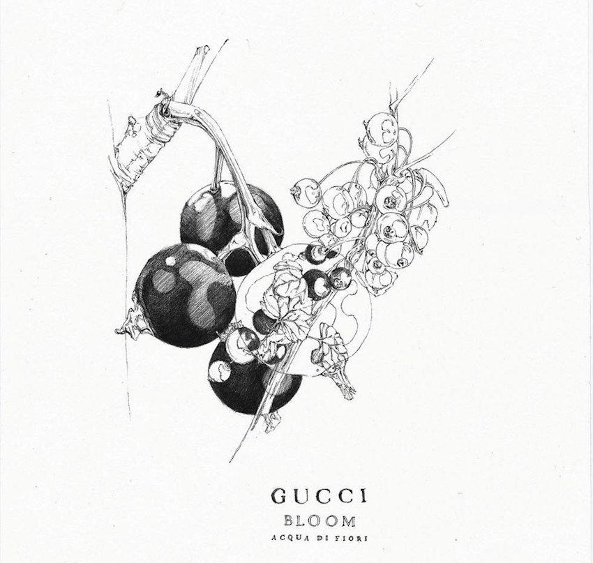 Gucci kết hợp cùng 15 nữ họa sĩ để thực hiện chiến dịch Gucci Bloom