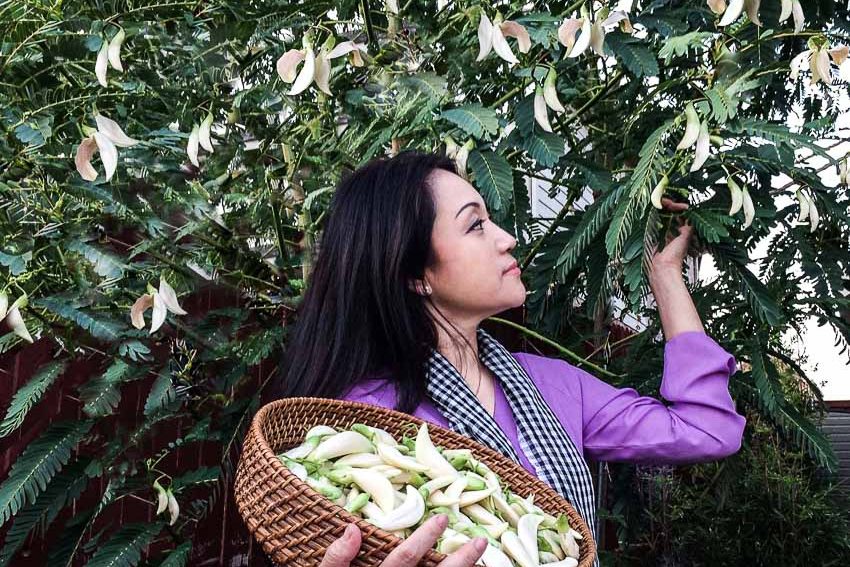 Khi gió chướng thổi…