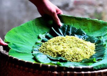 DNP-Ha-Noi-Com-banh-com-va-1