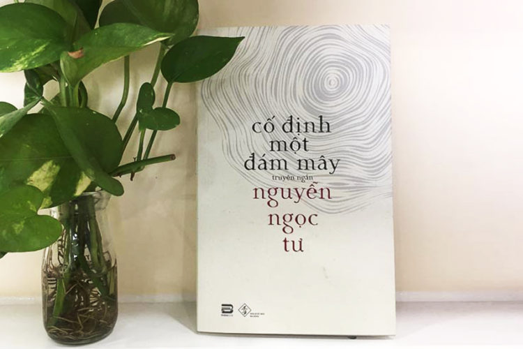 DNP-Phan-book-ra-mat-Co-dinh-mot-dam-may-cua-nha-van-Nguyen-Ngoc-Tu
