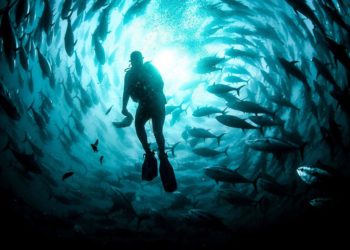 DNP-toan-canh-the-gioi-qua-loat-anh-phong-su-sac-net-va-song-dong-14