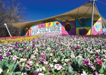 DNP776-Floriade-2018-muon-hong-ngan-tia-7