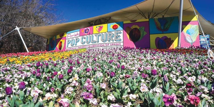 DNP776-Floriade-2018-muon-hong-ngan-tia-7