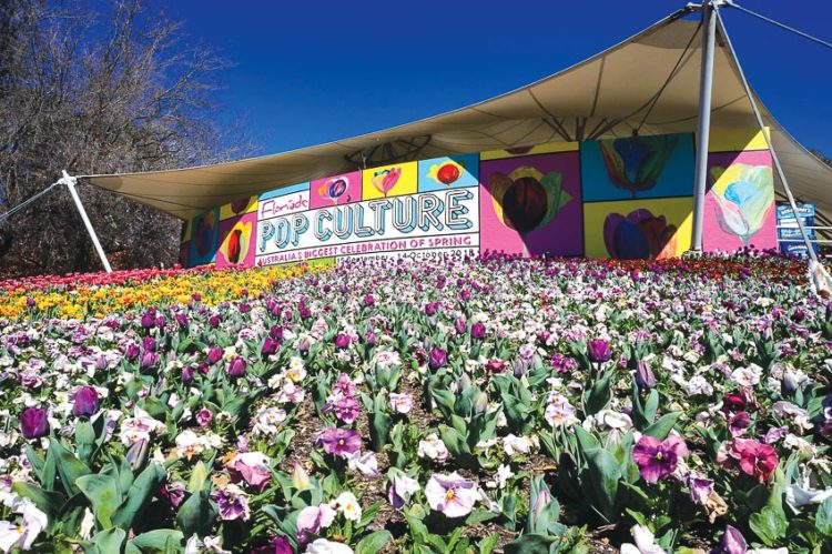 DNP776-Floriade-2018-muon-hong-ngan-tia-7