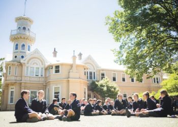 DNP776-de-con-du-hoc-an-toan-va-hieu-qua-2