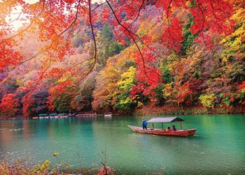 DNP776-mua-Koyo-Nhat-Ban