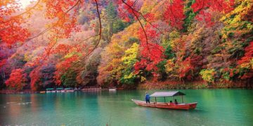 DNP776-mua-Koyo-Nhat-Ban