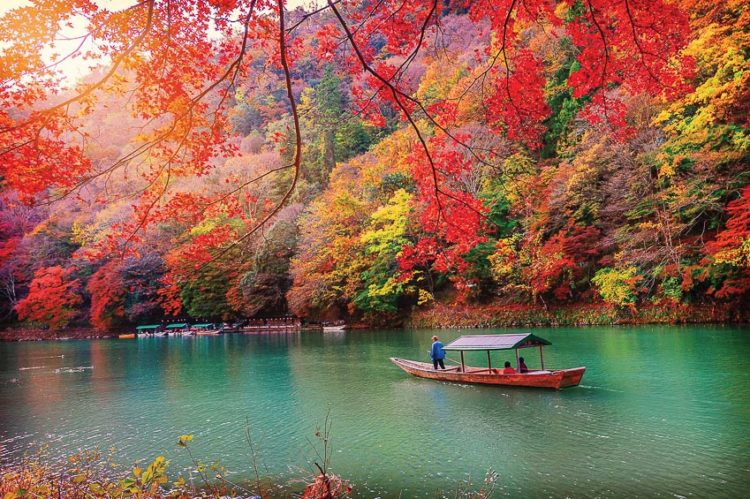 DNP776-mua-Koyo-Nhat-Ban