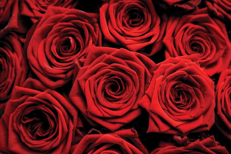 DNP776-nha-hang-Saigon-Cafe-mung-ngay-Phu-nu-Viet-Nam