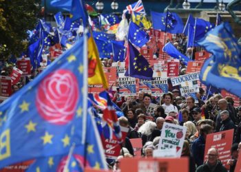 DNP778-bieu-tinh-doi-bo-phieu-lan-2-be-Brexit-4