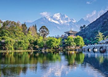 DNP778-mien-tien-canh-Le-Giang