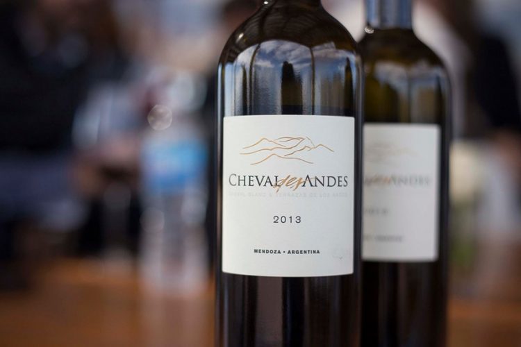 gioi-thieu-dong-vang-do-cheval-des-andes-cho-mua-le-hoi-1