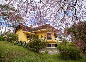 Ana Mandara Villas Dalat nhận giải “Khu Nghỉ Dưỡng Cao Nguyên Đẳng Cấp Nhất Thế Giới 2018” 2