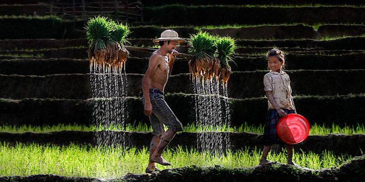 Canon đồng hành cùng Triển lãm ảnh Di sản Việt Nam 2018 5