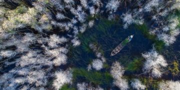 Việt Nam lọt top ảnh đẹp giải thưởng ảnh Siena quốc tế 6