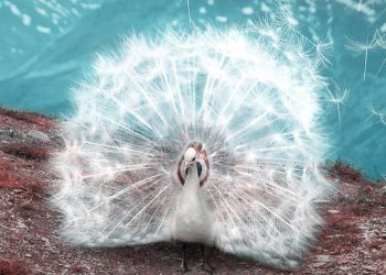 Động vật bước ra từ thần thoại qua bàn tay Photoshop của nghệ sĩ 21 tuổi