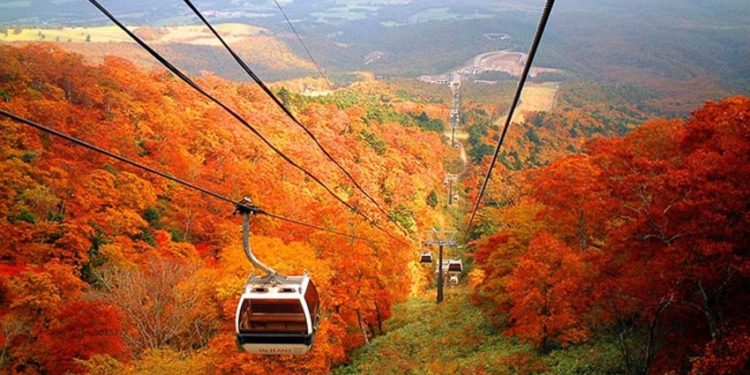 Núi Takao ở Tokyo 2