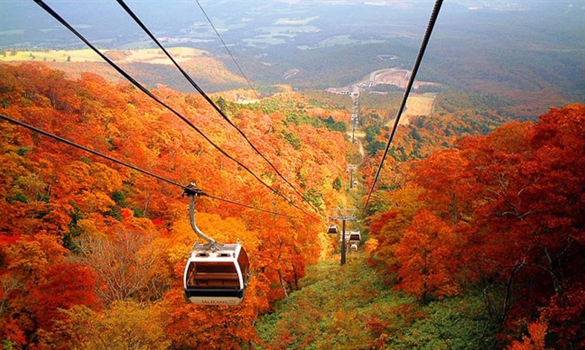 Núi Takao: Địa điểm tuyệt vời nhất ngắm lá mùa thu tại Tokyo | DoanhnhanPlus.vn