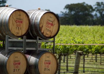 rượu vang Australia 1